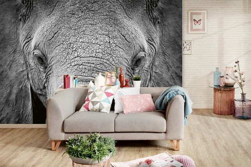 Vlies Fototapete - Afrikanischer Elefant 375 x 250 cm